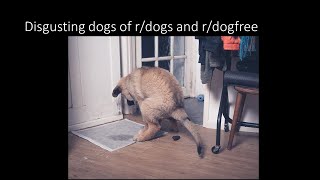 Rant Disgusting dogs of rdogs and rdogfree [upl. by Enicnarf811]