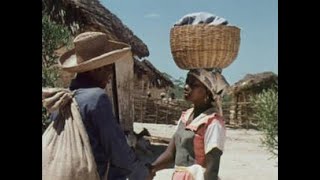 GOUVERNEURS DE LA ROSÉE Film Haitien [upl. by Yedoc]