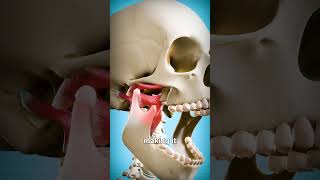 How To Fix A Dislocated Jaw 😨 [upl. by Pelagia]