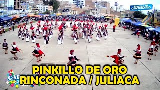 PINKILLO DE ORO JULIACA rinconada  Peru 2024 [upl. by O'Shee]