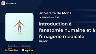 UMons  Médecine  BA1  Introduction à l’anatomie humaine et à l’imagerie médicale  Capsule 1 [upl. by Elletsirhc]