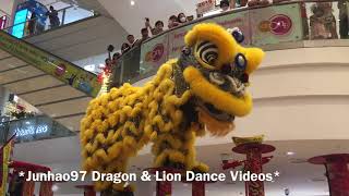 新加坡天鹰龍獅學院 Tian Eng Lion And Dragon Dance Spectacular at Lot One Shopping Mall 31 Jan 2020 [upl. by Cyndia]