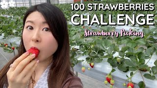 100 Strawberries Challenge in Japan 🍓When Strawberry Picking turned into a Mukbang 😂 [upl. by Aerdnad]