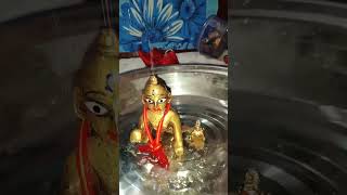 Laddu Gopal kar race Naam funny comedy barbie doll radhe video laddu gopal [upl. by Ellennod840]