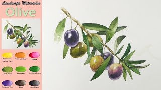 Olive  Fruit Landscape Watercolor wetinwet Fabriano NAMIL ART [upl. by Chun]