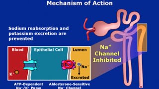 PotassiumSparing Diuretics [upl. by Auhsoj]