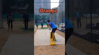 FUN🥰 Batting Drills  cricket practice Batting Drills cricket crickettechnique cricketlovers [upl. by Evvy]