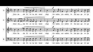 Vorwärts C Schumann Score Animation [upl. by Okiam349]