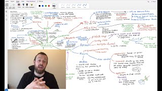 Biodiversity Mindmap OCR A Level Biology Module 42 [upl. by Aroc726]