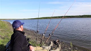 How to Catch MORE Catfish Bank Fishing [upl. by Nova602]