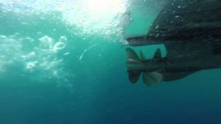 Regal 2250  Volvo Penta 57 GXi Start up under water view GoPro [upl. by Htiek]