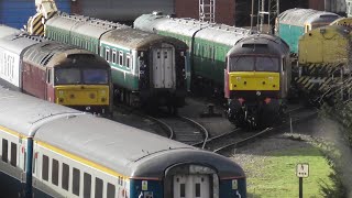 ONE OF THE LAST REMAINING EWS 47’S plus many West Coast locos at Burton Wetmore Sidings 160224 [upl. by Itra39]