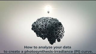 How to analyze your data to create a photosynthesisirradiance PI curve [upl. by Eirek]