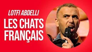 LOTFI ABDELLI  LES CHATS FRANÇAIS [upl. by Pudendas]