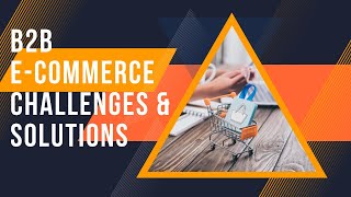 B2B E commerce Top Challenges amp Their Solutions [upl. by Cleave]