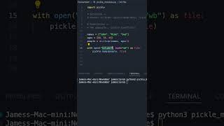 Python 3  Easy Object Serialisation python3 coding programming [upl. by Anilahs338]