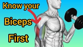 5 Best Exercises to Build Biceps Long Head [upl. by Darbee]