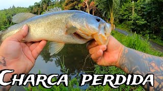 Charca perdida en patillas bassfishing [upl. by Eamon912]