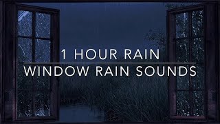 1 Hour Rain Window For Relaxation Study amp Meditation  Evening Ambience [upl. by Ynnub]