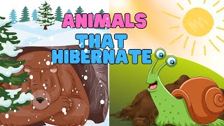 Did You Know  Animals that Hibernate for Kids  Hibernate Learning Video for Kids [upl. by Atteirneh]