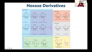 Hexose Derivatives [upl. by Anasiul]