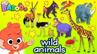 Learn Wild Animals For Kids  Wild Zoo Animals Names and Sounds for Children  Club Baboo [upl. by Willette]