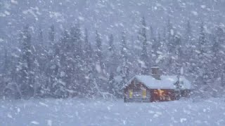 Schneesturm Ertönt Im Schlaf – Heulender Wind  Schneesturmgeräusche Helfen Beim Tiefschlafen [upl. by Barbra]