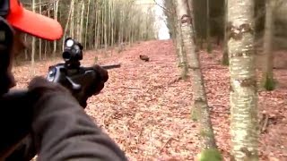 Best of wild boar hunting  Top kill shots compilation  Ultimate Hunting [upl. by Sven11]