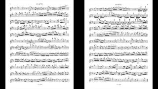 Mozart Flute Concerto in D K314 I Allegro aperto Piano Accompaniment [upl. by Nolyaw]