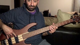 ESP LTD D4 Bass Review [upl. by Stulin]