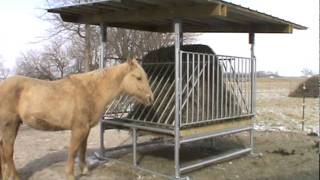 Klene Pipe Structures Hay Saver Feeder for Horses [upl. by Lyndsie935]