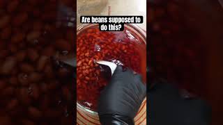 Help me Are red beans supposed to do this question cooking beans beansrecipe [upl. by Nodnas876]