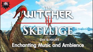 The Witcher 3  Skellige  Enchanting amp Relaxing Music and Ambience  Day amp Night Ambience nextgen [upl. by Quennie]