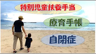 自閉症と診断。特別児童扶養手当と療育手帳を受給。申請までの経緯。【年収350万円の住まいと家計】 [upl. by Notnek]