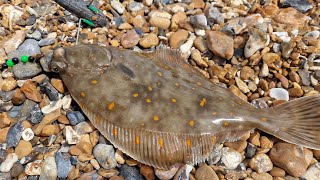 plaice fishing on the south coast sea fishing UK [upl. by Barret]