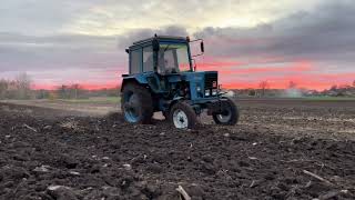 Tractor Belarus Mtz 80 in usa [upl. by Kcirdor799]