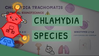 All You Need to Know About Chlamydia Species [upl. by Hymie]