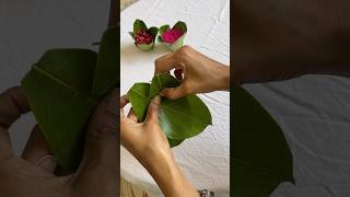 Ecofriendly leaf cups 🍃 jackfruitleafcups ecofriendlycups diy bananaleafcups [upl. by Sidwel]