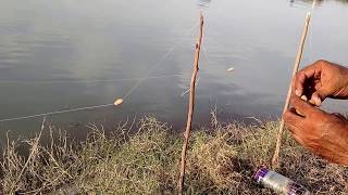 fishing in pakistan indus river 2016 [upl. by Euqirne]