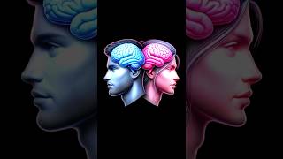 Brain differences in men vs women psychology science facts brain man women neuroscience [upl. by Adrell5]