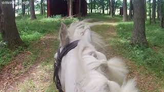 Come tack up and go on a hack with me  galloping gopro [upl. by Selohcin]