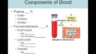 Blood Lecture 1 Introduction and blood composition [upl. by Airdnal]