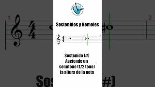 🎶 Sostenidos y Bemoles Notas Musicales 🎼 [upl. by Eelidnarb]