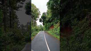 കാട്ടിലൂടെ ഒരു ബൈക്ക് യാത്ര love trending shortvideo bike shorts trending rider forest song [upl. by Rehportsirhc]