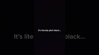 Pitch black water slide in the Bahamas shorts [upl. by Caprice993]