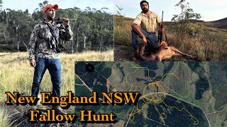 Fallow Deer Hunt at Nundle SF NSW II Sit and Wait Tactics II State Forest Australia Hunting 2024 [upl. by Schurman798]