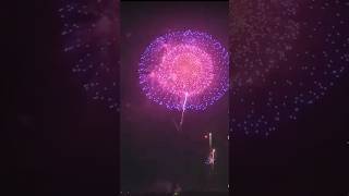 Amazing 😍 Japanese fireworks fireworks shortvideo ytshort viralvideo viralvideos ytshortsvideo [upl. by Nahshunn]