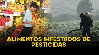 Mercados venden alimentos contaminados con pesticidas y no aptos para el consumo humano [upl. by Rairb]