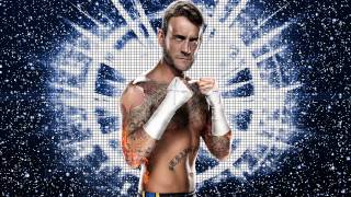 20112014  CM Punk 2nd WWE Theme Song  Cult of Personality ᵀᴱᴼ  ᴴᴰ [upl. by Rotsen402]