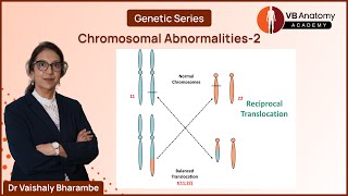 Decoding Structural Chromosomal Anomalies Part 2 Translocation amp Isochromosome vbanatomy [upl. by Dickson]